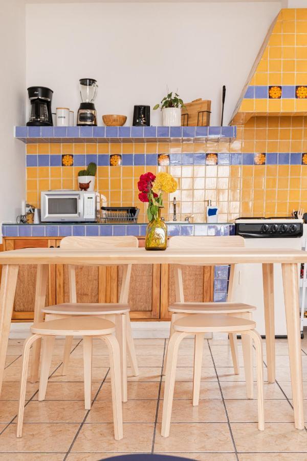 Siento Oaxaca Apartment Екстериор снимка