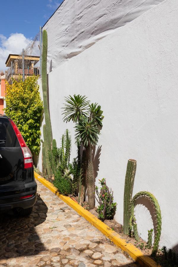Siento Oaxaca Apartment Екстериор снимка