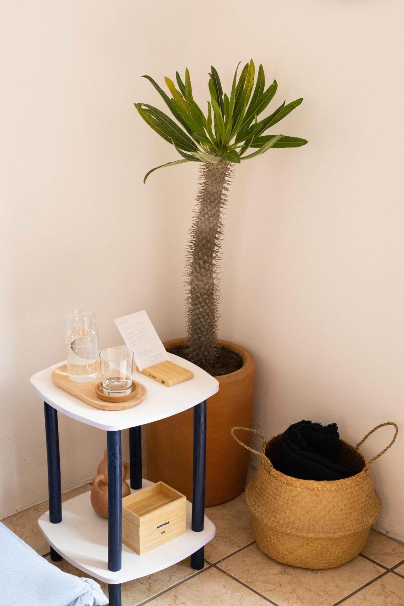 Siento Oaxaca Apartment Екстериор снимка