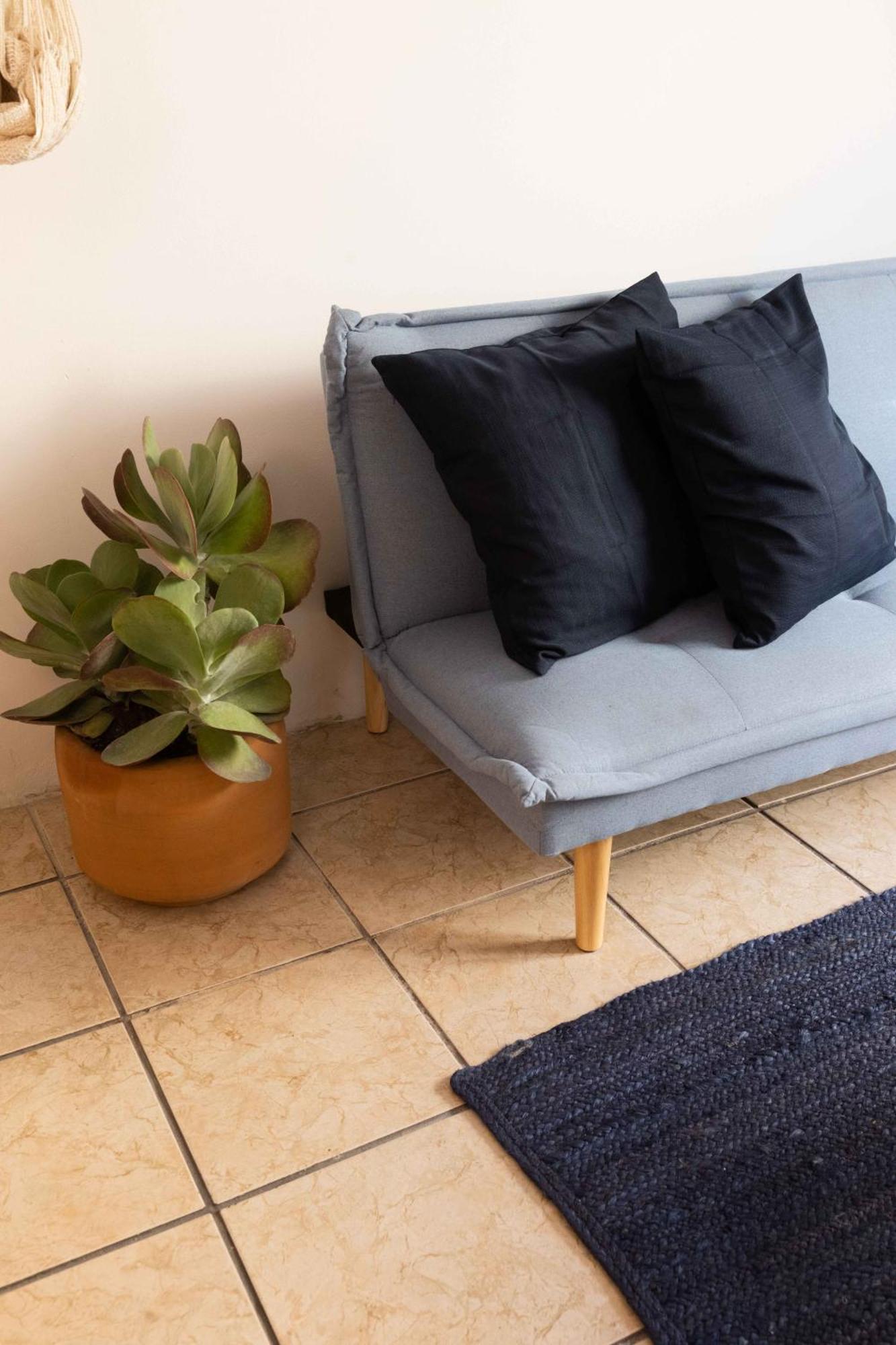 Siento Oaxaca Apartment Екстериор снимка
